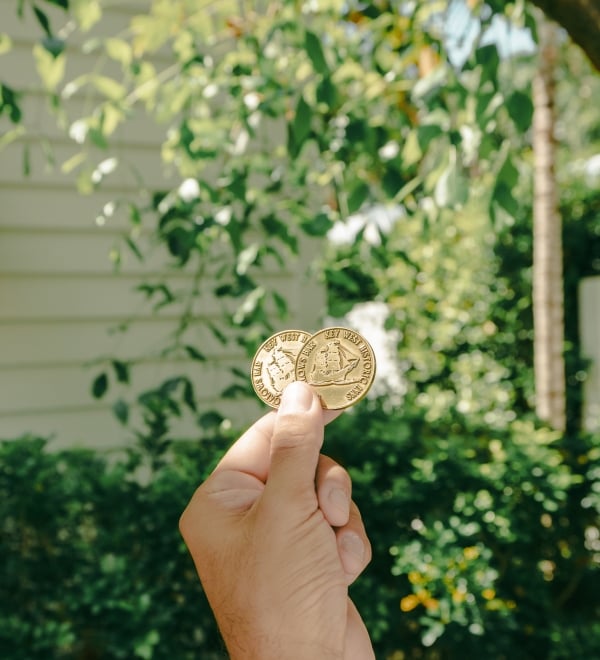 Pirate Coins